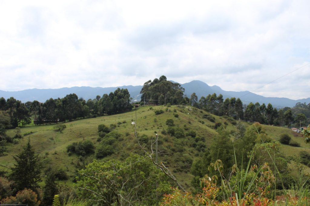 WhatsApp Image 2020-05-05 at 12.23.58 (2)